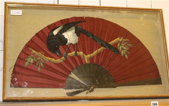 Framed bird fan